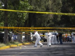 México registró más de 6,700 víctimas de crímenes de extrema violencia en 2025