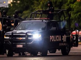 Más de 400 policías fueron asesinados durante el sexenio de Claudia Sheinbaum