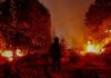 Fiscalía de Chile detiene a presunto responsable de incendios forestales Fiscalía de Chile detiene a presunto responsable de incendios forestales