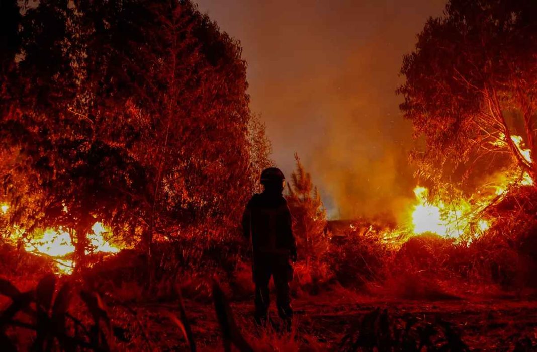 Fiscalía de Chile detiene a presunto responsable de incendios forestales