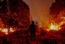 Fiscalía de Chile detiene a presunto responsable de incendios forestales