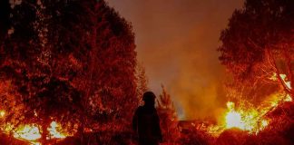 Fiscalía de Chile detiene a presunto responsable de incendios forestales