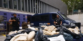 Europol desmantela una gigantesca red de drogas sintéticas; cayeron 85 personas