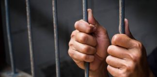 Detienen a dos hombres en Tabasco por un caso de canibalismo ocurrido en 2025 Detienen a dos hombres en Tabasco por un caso de canibalismo ocurrido en 2025