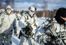 OTAN y Unión Europea refuerzan seguridad en el Ártico, tras giro de EE. UU. sobre Groenlandia