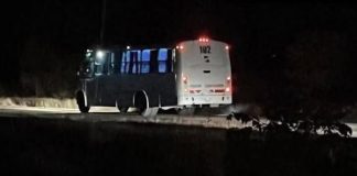 Hallan autobús de pasajeros vacío y con el motor encendido en carretera de San Luis Potosí Hallan autobús de pasajeros vacío y con el motor encendido en carretera de San Luis Potosí
