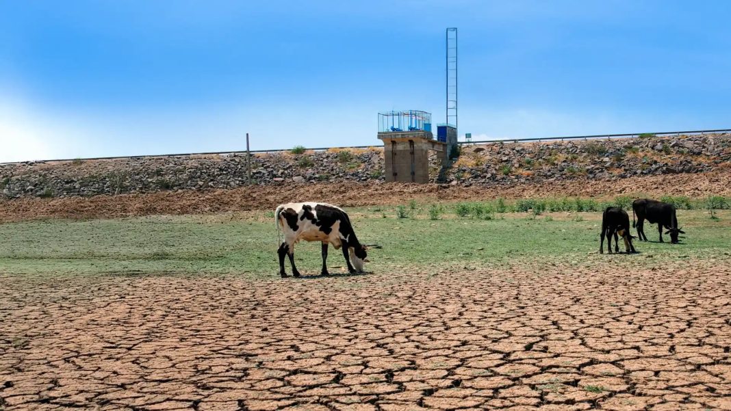 Magazine697d014d8e28c_30012026 México registra el nivel más bajo de sequía en seis años
