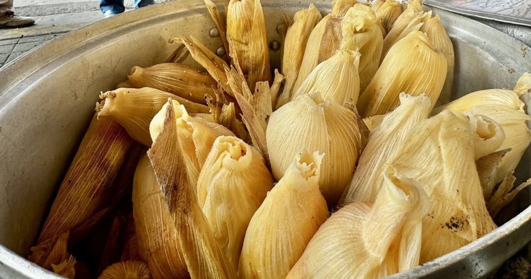 dan-de-alta-a-nina-la-ultima-de-siete-menores-intoxicados-por-tamales-con-fentanilo-en-huauchinango_d8442c90-ddf4-4363-b8cf-d9569e778227_medialjnredespreviewcrop Sheinbaum ordena investigar intoxicación de menores por tamales con fentanilo en Huauchinango, Puebla