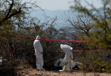 Extorsión bajo investigación en asesinato de cinco mineros en Concordia, Sinaloa