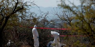 Extorsión bajo investigación en asesinato de cinco mineros en Concordia, Sinaloa