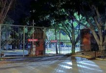 Más de mil turistas quedaron varados en el Zoológico Guadalajara tras hechos violentos Más de mil turistas quedaron varados en el Zoológico Guadalajara tras hechos violentos