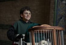 Harry Potter rompe récords con primer tráiler en HBO