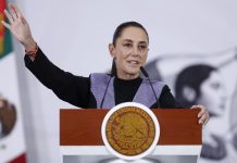 Sheinbaum descalificó a Greenpeace por difundir una “imagen falsa” sobre el derrame de petróleo en el Golfo de México