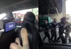 Alfredo Adame denunciará a esposo de Karely Ruiz por agresión