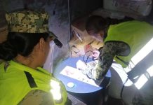 Marina aseguró 314 litros de tolueno en Topolobampo, Sinaloa, durante la “Operación Sellamiento Golfo de California”