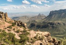 Ambientalistas demandan a Trump por construir el muro fronterizo en un parque natural