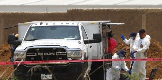 Hallaron más de mil restos óseos en lagunas ubicadas entre Tláhuac y Chalco