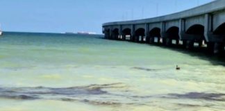 Detectan manchas de hidrocarburo en costas de Yucatán