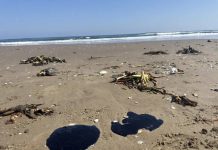 Convocan a “marcha por el mar” en Veracruz para exigir investigación tras derrame de hidrocarburo