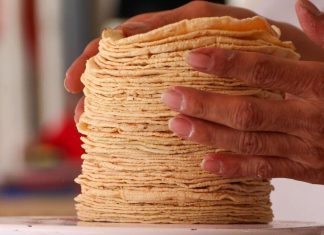 Profeco desmiente alza en el precio de la tortilla en México