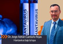 Hantavirus bajo la lupa
